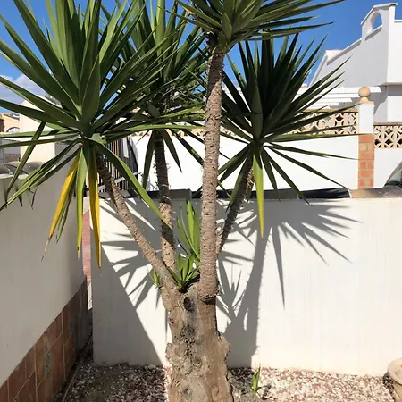Villa Rosa El Pozo del Cabo